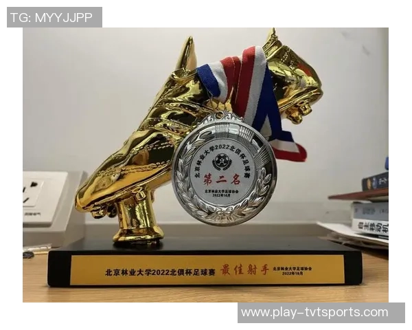 足球的荣耀与梦想：探寻世界各大足球奖杯背后的故事与意义