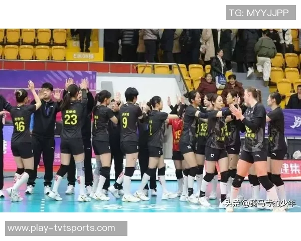 女排全锦赛精彩对决浙江女排迎战辽宁女排争夺冠军荣耀